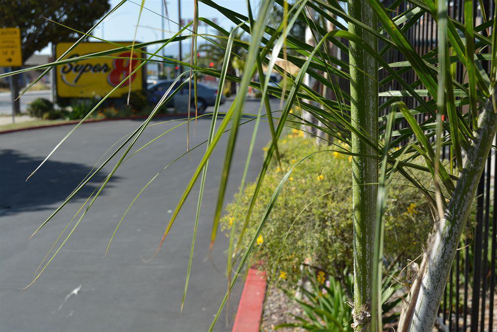 Super 8 By Wyndham Salinas Motel Exterior photo
